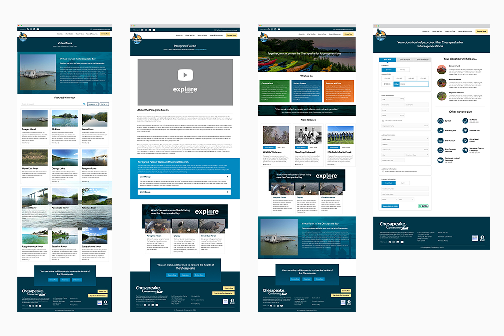 Chesapeake Conservancy Wireframes
